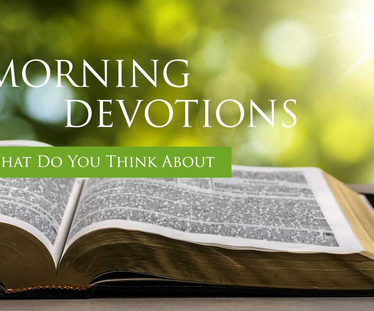 Daily Devotions - Bible Baptist Church