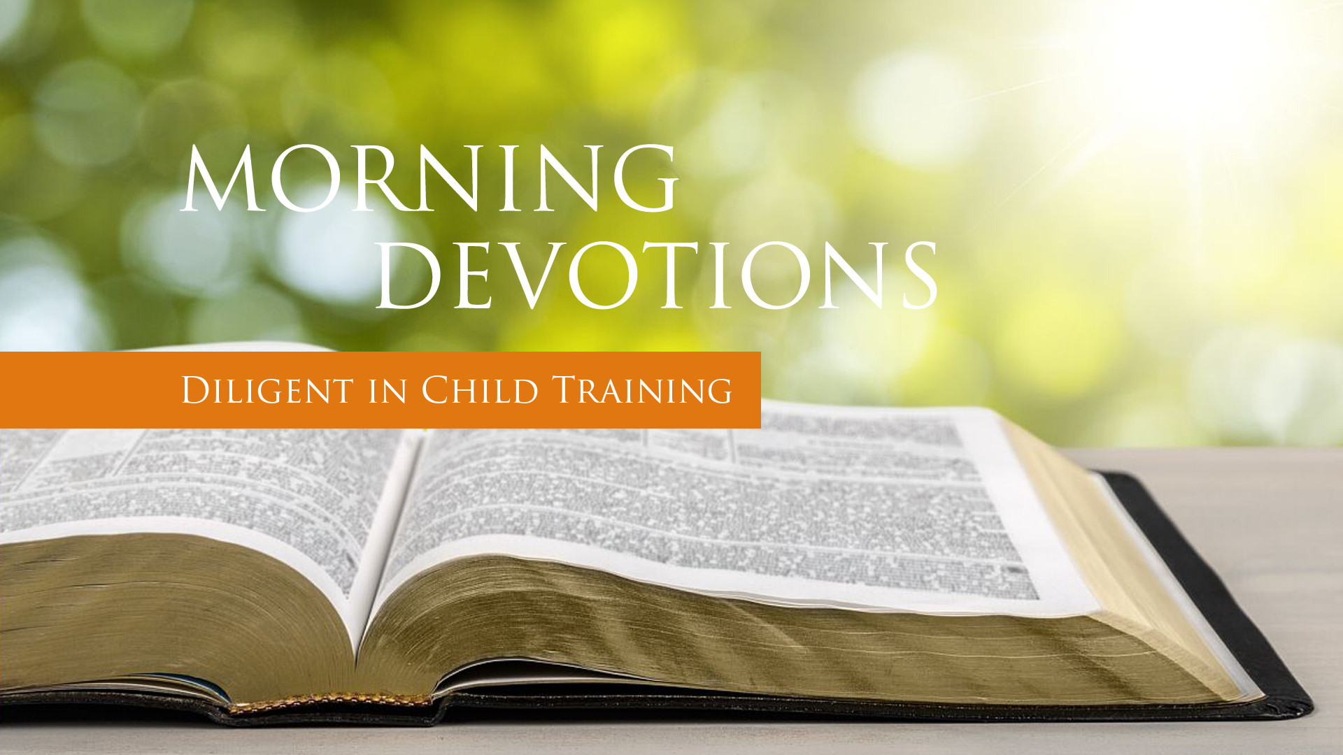 diligent-in-child-training-bible-baptist-church