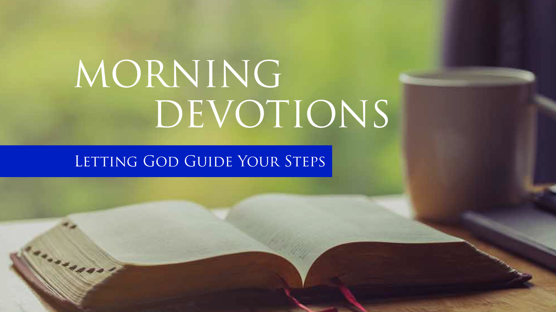 Letting God Guide Your Steps - Bible Baptist Church