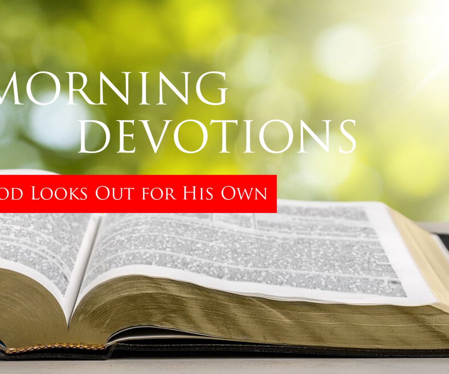 Daily Devotions - Bible Baptist Church