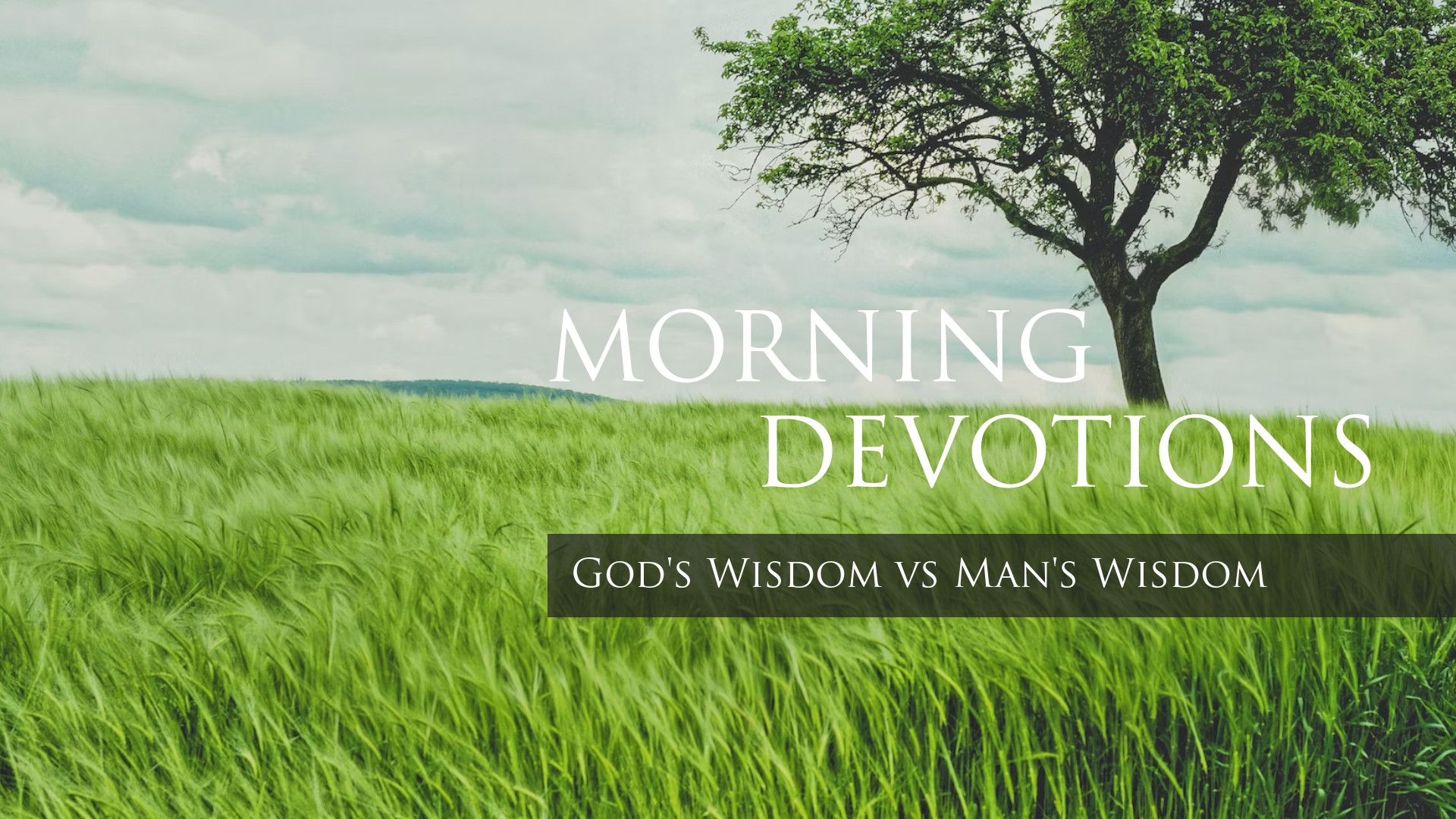 Daily Devotions - Bible Baptist Church