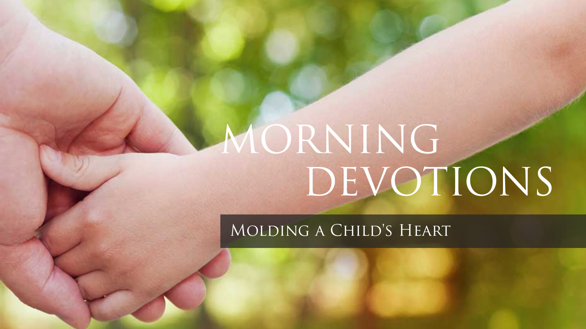 Daily Devotions - Bible Baptist Church